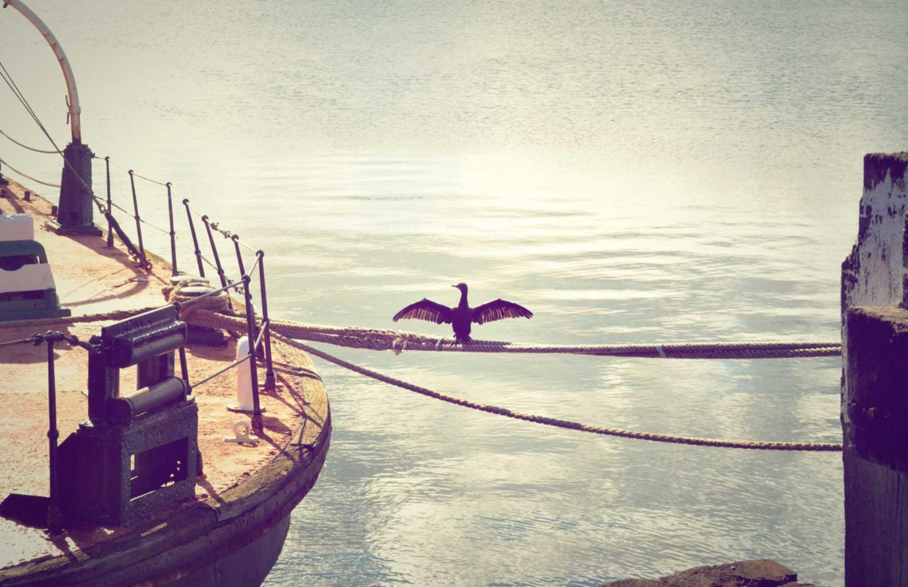 DDOS在线攻击|长虹国际平台代理