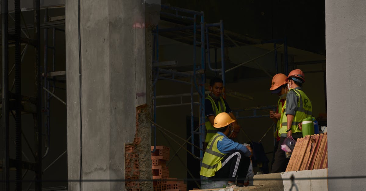 圣树唤歌：华纳公司平台开户注册