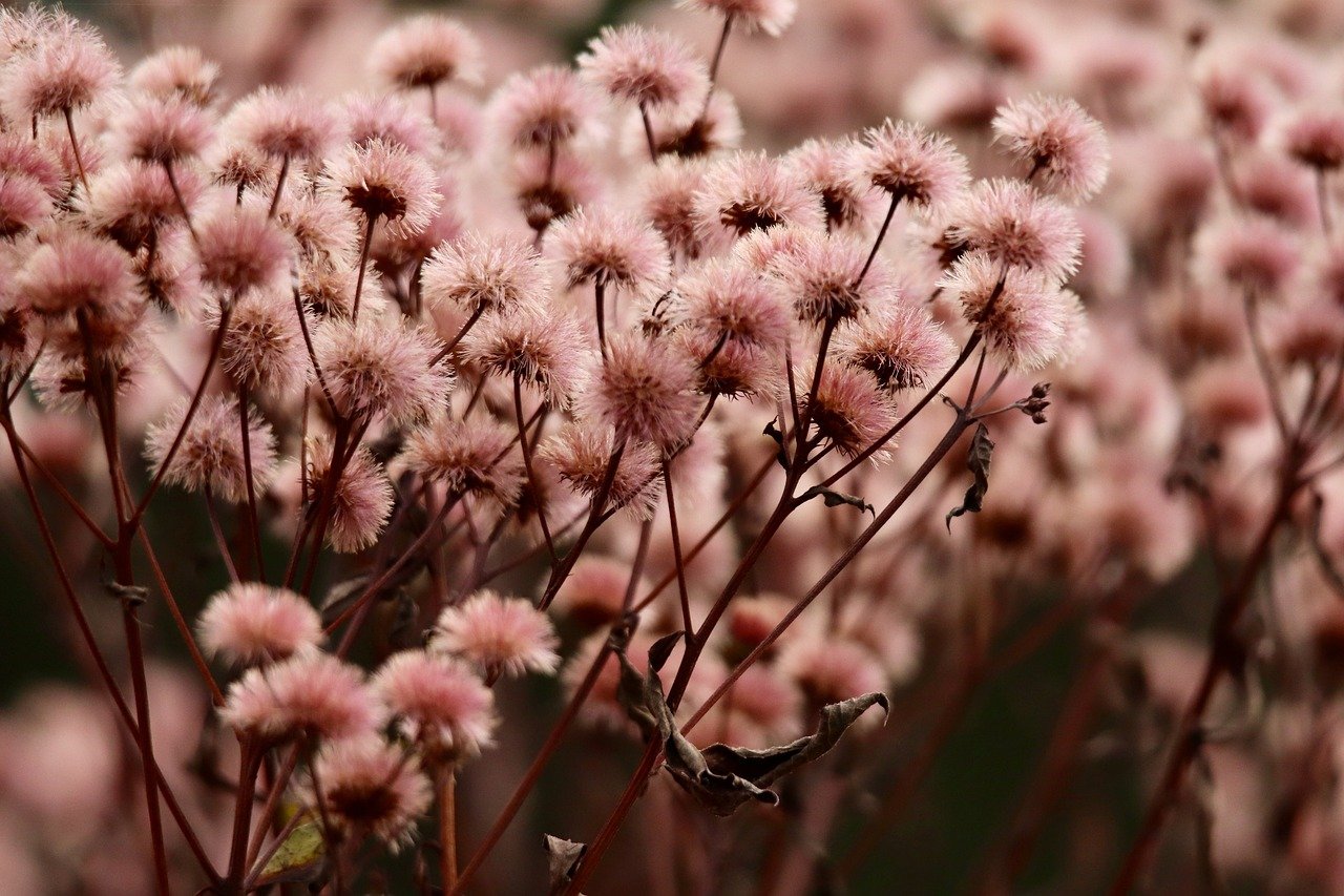 中国移动实名账号:深圳祥云平台重庆代理政策