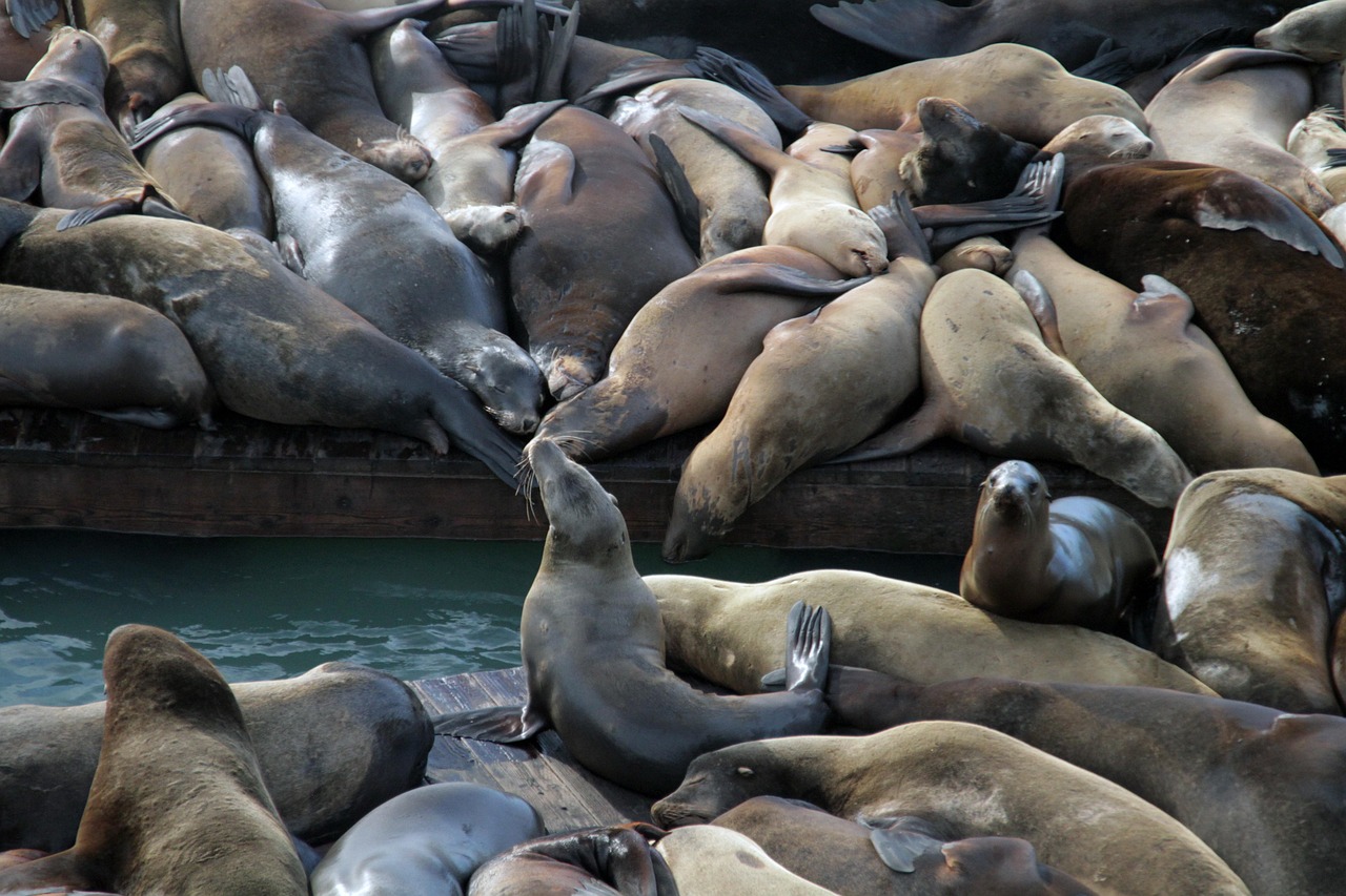 vx号买卖：萧山代理企业注册