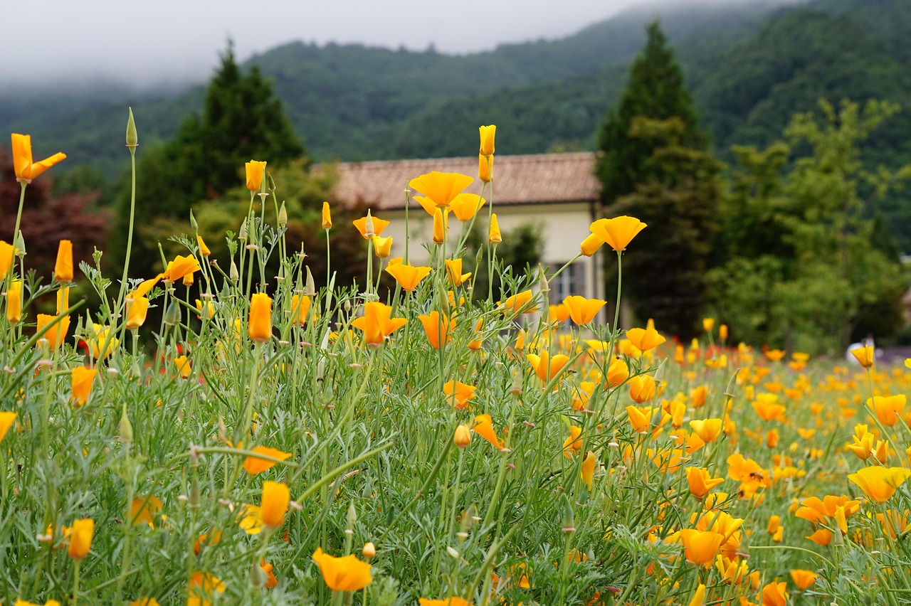 国外微信买卖:代理公司注册 余杭