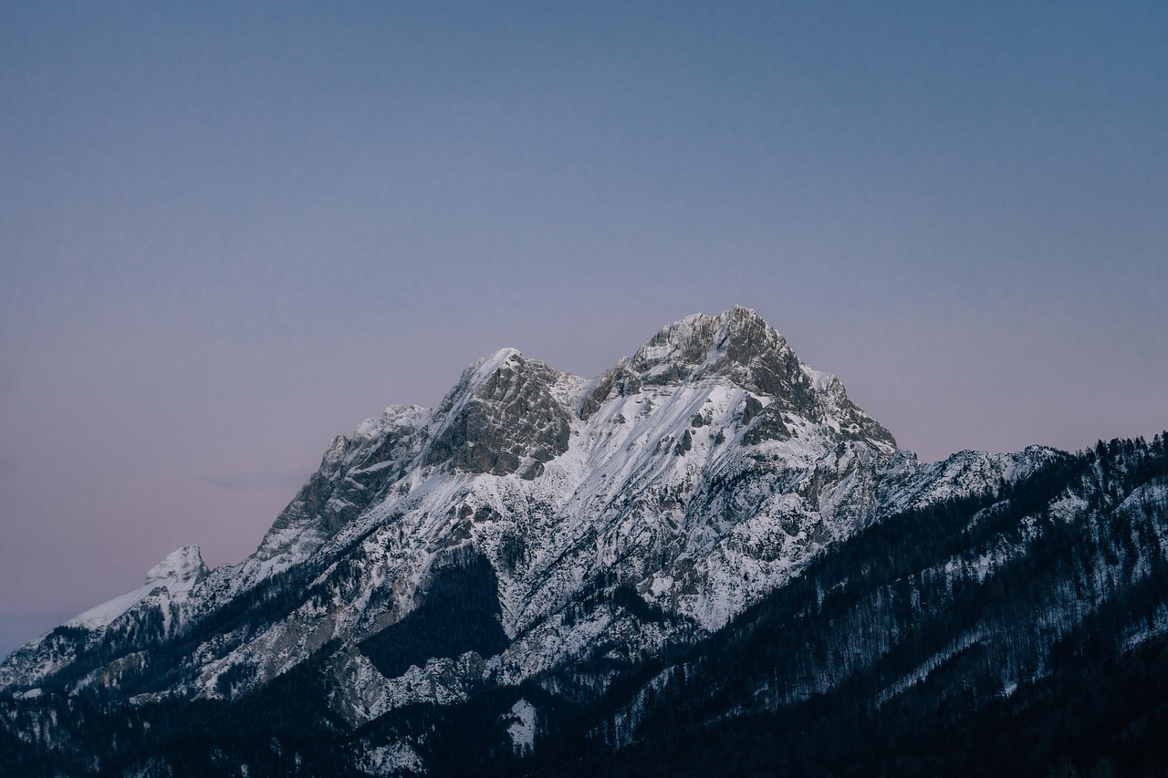 DDOS网页端|亲爱的app详情下载教程